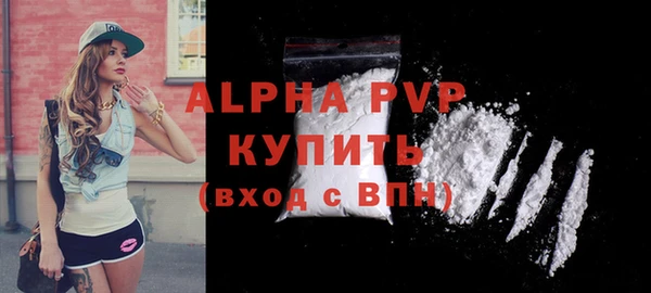 apvp Гусиноозёрск