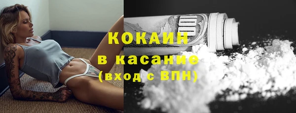 крисы Гусь-Хрустальный