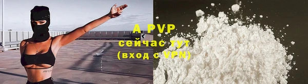 apvp Гусиноозёрск