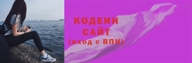 apvp Гусиноозёрск