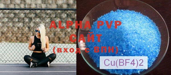 apvp Гусиноозёрск