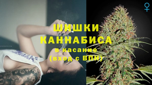 крисы Гусь-Хрустальный