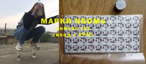 apvp Гусиноозёрск