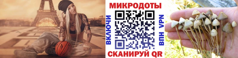 Галлюциногенные грибы GOLDEN TEACHER  наркота  Жуковка 